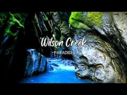 Wilson Creek Canyon 🇳🇿 Hidden Gem of New Zealand's Haast Pass