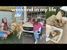 weekend in my life: new car + car tour and petting mini cows!!