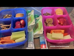 What's In Their Lunchboxes? Here are 26 school lunches for my elementary & middle schoolers!