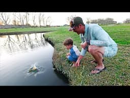 Stocking My Backyard Pond with it's First Pet Bass!