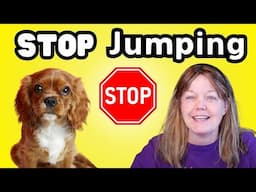 How to Teach Your Dog to Stop Jumping on People: Force-Free Dog Training Tips