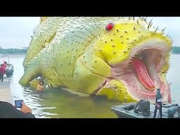 20 Largest Creatures Found In The Sea This Year