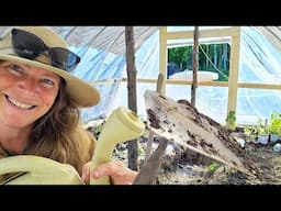 160 Acres Off Grid Alaska: Gardening in the Wild