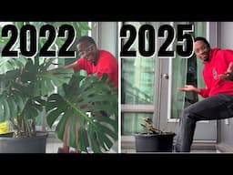 i threw my plants in the garbage