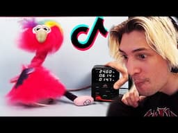Tik Toks that Cure ADHD for 22 Minutes