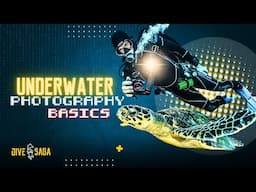 SCUBA SCIENCE 09: The Basics of Underwater Photography | Explained Simply
