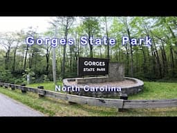 Gorges State Park, North Carolina