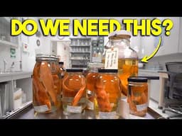 What's the Point of Natural History Collections?