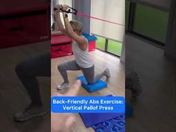 Ab Wheel Rollout Alternative for Abs