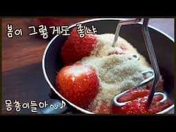 (재업)딸기가 세일이란 건, 벌써 봄이 왔다는 얘기~