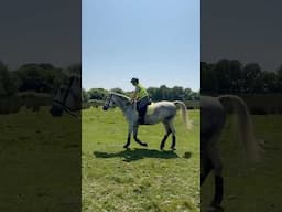 Summer is here