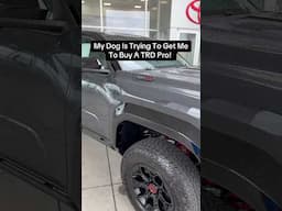 My Dog Is Trying To Get Me To Buy A TRD Pro Tacoma! #tacoma