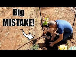 Planting the Backyard Vineyard