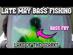 Late May Bass Fishing | Lake of the Ozarks