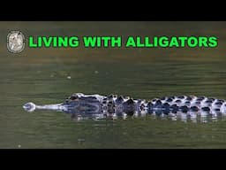 Living with Alligators 2025