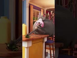 Cat eating world record