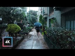 Gentle Rainfall Walk in Mexico City, Binaural Audio
