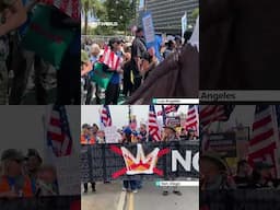 Hundreds of thousands across 50 states in US protest Trump's policies