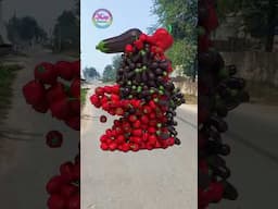 Create different types of humanoid fruit and vegetable characters🍆🍉 stand up and walking bumps...