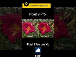 Google pixel 9 Pro vs Google pixel 9 Pro XL camera test competition