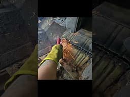 Restoring a classic bronco!