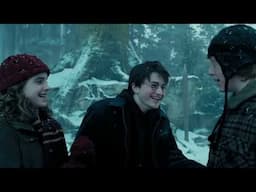 Love | Harry Potter