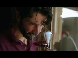 MAKING NATURAL WINE IN MONFERRATO | Shot on Ursa Mini Pro 12K
