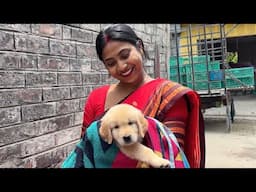 Bong Posto er Notun member♥️ || Jamai Sosthi Vlog ||#doyelroy #vlog #bongposto #jamaisasthi