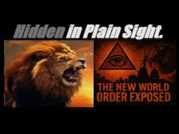 (FULL BREAKDOWN) THE "NEW WORLD ORDER" EXPOSED... (Critical Updates). ARE YOU READY? Mannarino