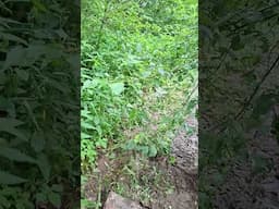 Велопоездка часть 4