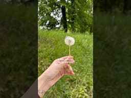 Sobre apreciar os sons da vida, do dia a dia acontecendo…✨