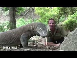 3 Day Survival on Snake Komodo Island! #snakeisland #survival #monsterhunter #wildlife