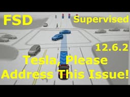 Why I think Tesla FSD 12.6.2 Should Be Halted