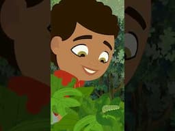 👋🦋 Hiya Butterfly! | Through the Woods FULL EPISODE | PBS KIDS #Shorts