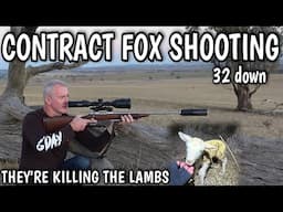 FOXES DECIMATING NEW BORN LAMBS || FARMER ENGAGES SHOOTER TO SORT THEM OUT || 32 FOXES IN 2 NIGHTS