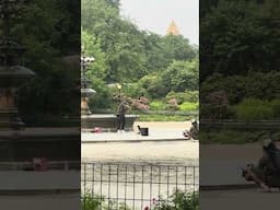 Rapper drops bars at Central Park’s Friends Fountain! #Freestyle #CentralPark #RisingRapper #NYC