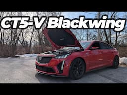 CT5-V Blackwing Makes 800+RWHP with 3 Mods!