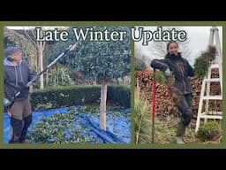 Late Winter Garden Update