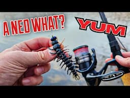 This SECRET Ned Rig ALWAYS Catches Fish!