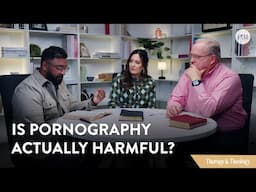 Is Pornography Actually Harmful? | Therapy & Theology #counseling #addictionrecovery