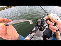 Just One Fish Catch