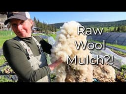 Old Farming Wisdom or Just A Weird Trend? I Had to Try It