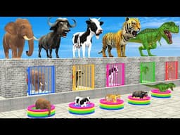 Cow Elephant Tiger Buffalo T-Rex Choose Right Color Challenge, Help Animals Escape Prison Game