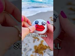 *RESULTS* LEAVING MY CRUNCHY SAND STRESS BALL AT THE BEACH FOR 24 HOURS! 😱🏖️🌊