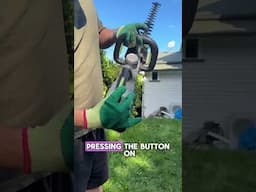 The First Time I...used a Hedge Trimmer