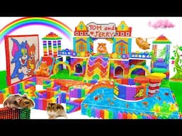 How to Build a Real Life Tom and Jerry 9 Level Super Maze Using Magnetic Balls
