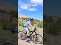 How good is a BUDGET FRIENDLY e-mtn bike