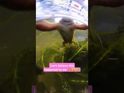 I can't believe the frog did THIS #underwater #tooclose #camera