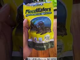 Getting Tadpoles in the Mail