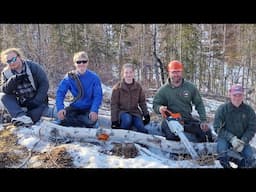 Extreme Tree Cutting in Alaska & Birch Tree Tapping